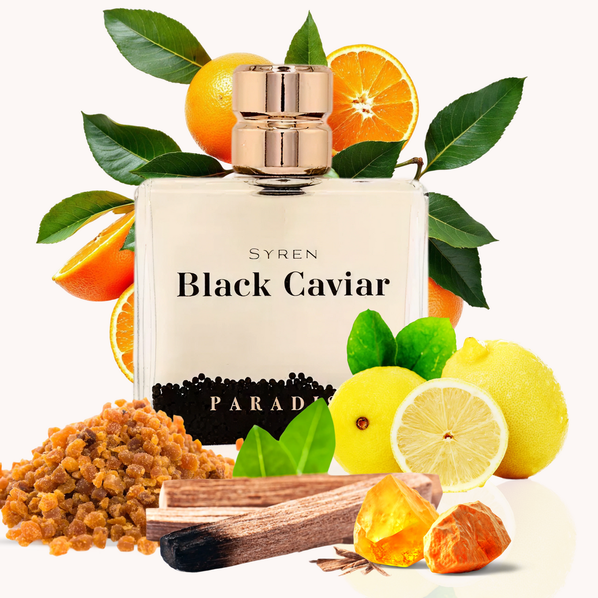Syren Black Caviar Paradiso cologne with bergamot lemon sandalwood amber scent notes - luxury men's perfume