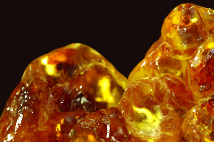The Art of Amber: Perfumery's Warmest Illusion
