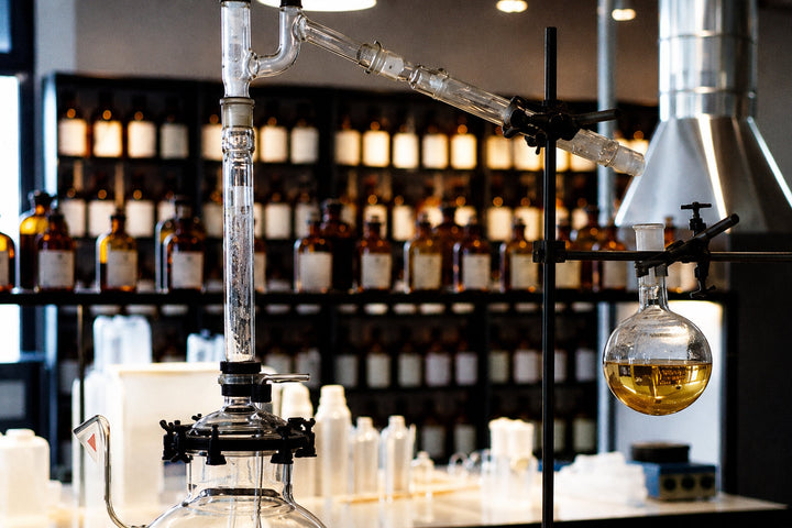 EDP vs. EDT vs. Parfum: What Fragrance Concentrations Actually Mean