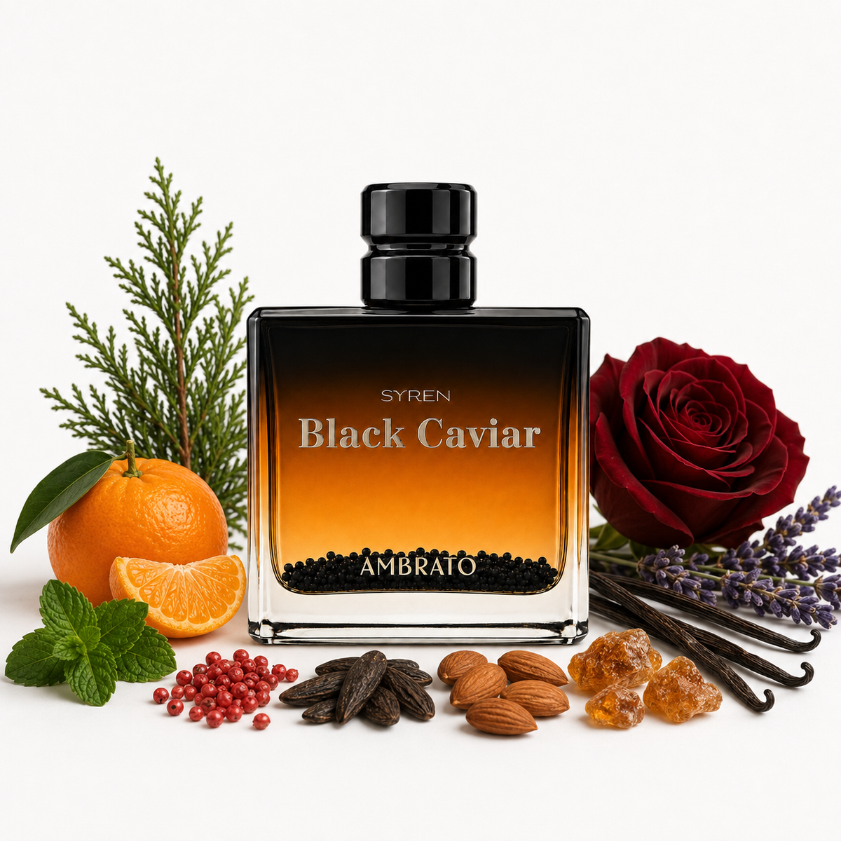 A bottle of Syren Black Caviar fragrance centered on a white background, surrounded by its scent ingredients including an orange, red rose, mint, vanilla beans, almonds, and spices.